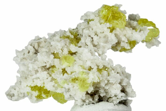 Striking Sulfur Crystals on Fluorescent Aragonite - Italy #238425